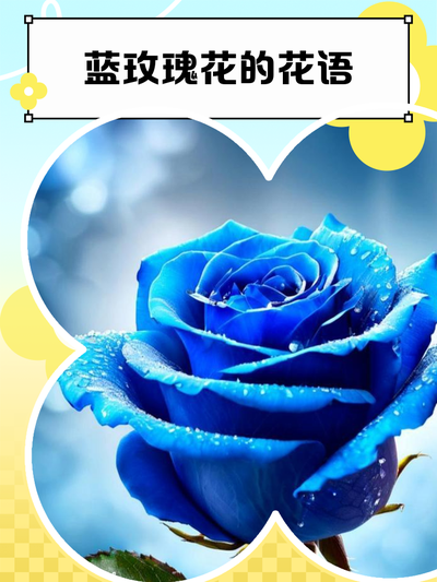 28e2dfb63554d7df2a0a80aa031d6680_t04dc7055640b00da36.png