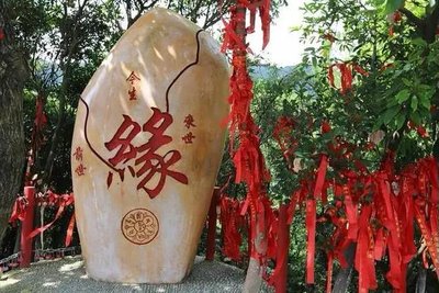 【梧桐作品专辑】《夏至》