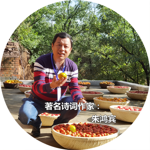 【名家专栏】著名诗词作家：朱鸿宾