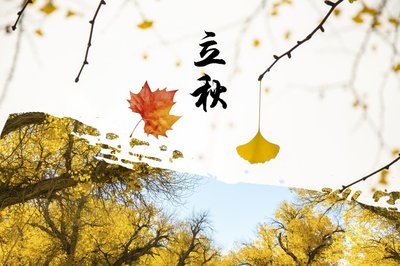 d7014656b6ff7d1a4d9b549a111c7eac_t01e39be049f7eda6f3.jpg